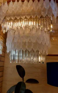 مدل برگ انبه