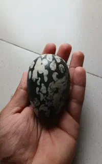 سنگ تخم مرغی