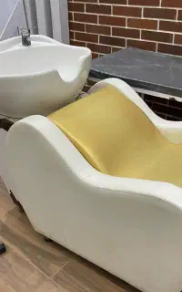 سرشور ثابت