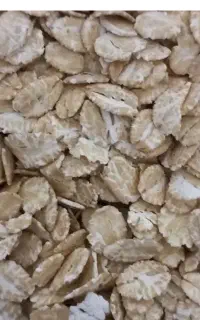 خوراک دام اسب پرواری غذای درجه یک  اسب