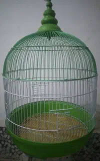 قفس پرنده