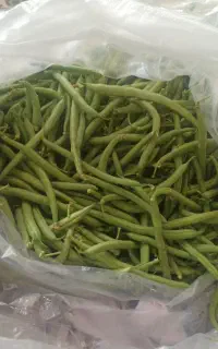 لوبیا سبز باغی
