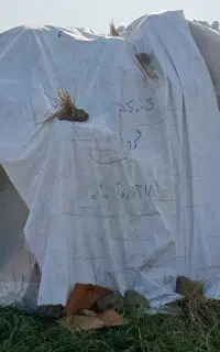 کاه و کلش رنه هاشمی