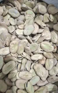 فروش باقله عمده