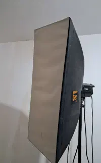 فلاش بوونز