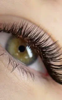 مرکز تخصصی آموزش و خدمات حرفه ای اکستنشن مژه