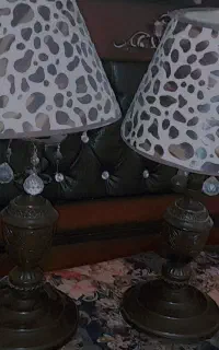 آباژور. شب خواب پلنگی زیبا