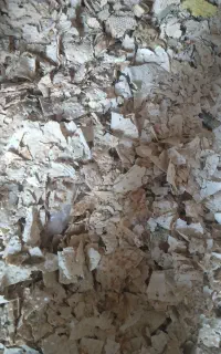 نان خشک  درجه یک