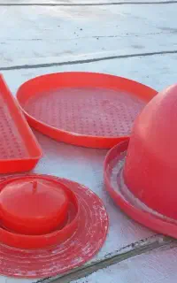 اب خوری ودانخوری جوجه