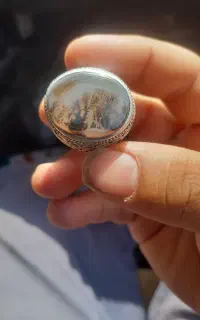 انگشتر شجر اصل