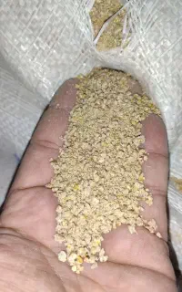 دانه پارس