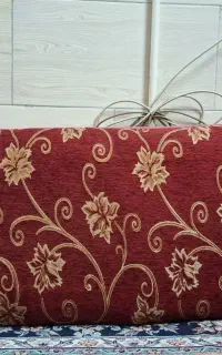 پشتی بزرگ