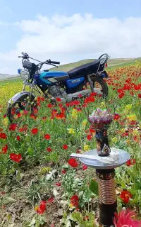 متور ۹۳ همه چیز  مدارک کامل هست