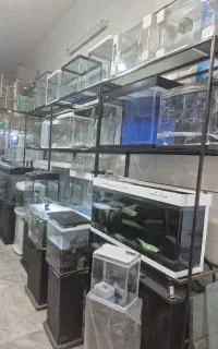 آکواریوم آکوااقساطی بدون سود