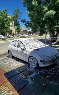 206