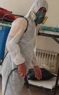 سمپاشی ساس سم پاشی سوسک با ضمانت