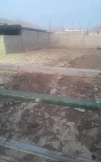 کود گوسفندی تخته