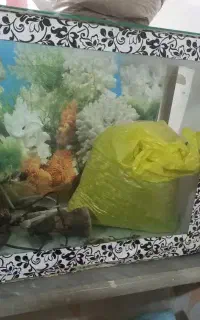 اکواریوم به همراه لوازم