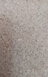 نیمدانه عنبر بو ۱۹۰
