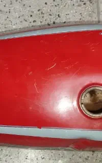 باک گوجه ای سالم