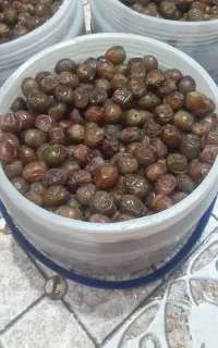 رطب خاصویی اصل (ریز)