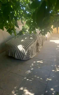 سمندf7دوگانه  خشک صفر