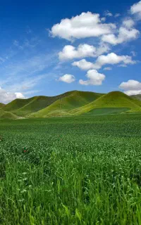سرایدار باغ و باغبان