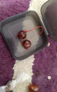 مهره برد اصلی