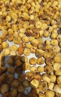 انجیر سیاه