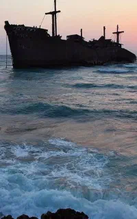 تورکیش