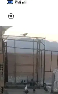 گنجه