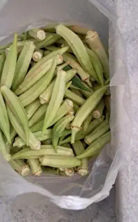 بامیه درشت موجود هست