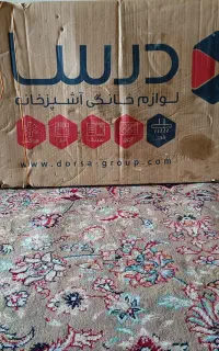 هود دیانا درسا