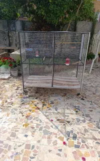 قفس مخصوص پرندگان