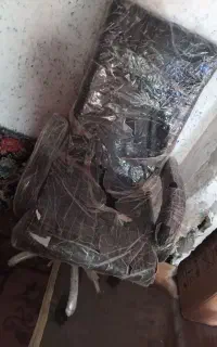 صندلی گردان و و مشتری