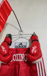 کیسه بوکس با دستکش هر دو نو