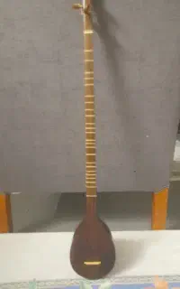 سه تار هاتف ملک شاه