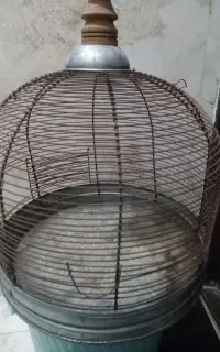 قفس گرد قدیمی- سهره خاکی