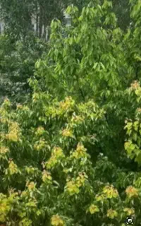طبیعت گردی