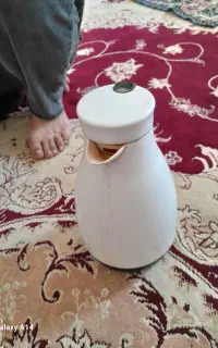 فلاکس عربی