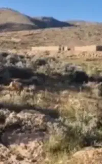 زمین تجاری