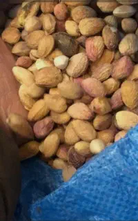 خریدار انواع پسته کال خشک پوک گوروابی بهترین قیمت