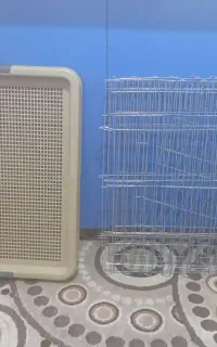 پارک سگ