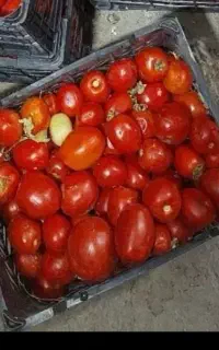 آ ش پزی