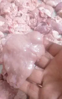 خوشگوشت گوسفندی کشتار روز