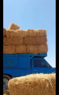 پرس کاه