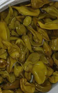 محصولات خانگی سربداران