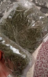 نعناع تمیز خوش بو