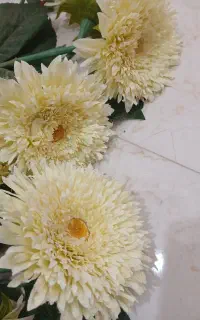 گل مصنوعی ژربرا نو