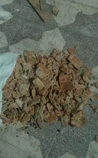 نان خشک دامی